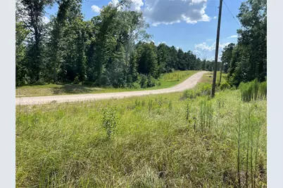 641 Rolling Pines Drive, Livingston, TX 77351 - Photo 5
