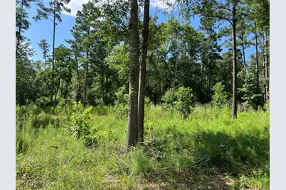 641 Rolling Pines Drive, Livingston, TX 77351 - Photo 3