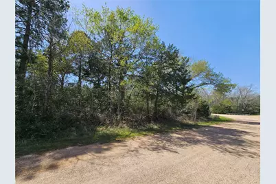 38501 Park View Dr, Hempstead, TX 77445 - Photo 3