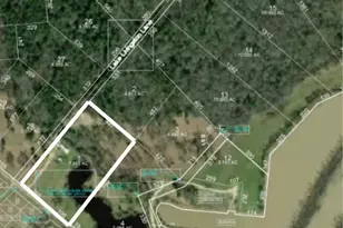 Lot 1 Lake Livingston Ln, Trinity, TX 75862 - Photo 1