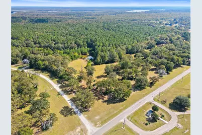 Lot 1 Lake Livingston Lane, Trinity, TX 75862 - Photo 9
