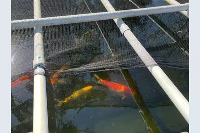 18011 Trellis Estates Court, Cypress, TX 77429 - Photo 7