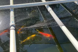 18011 Trellis Estates Ct, Cypress, TX 77429 - Photo 7