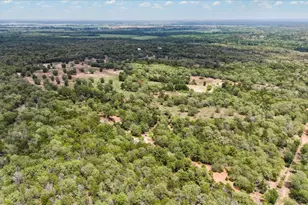 1611 Bartons Creek Road Rd, Smithville, TX 78957 - Photo 1