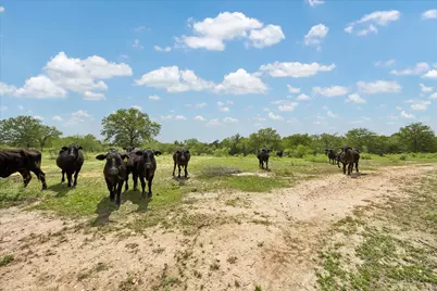 1611 Bartons Creek Road Road, Smithville, TX 78957 - Photo 25