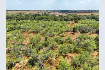 Lot 22 Cr 124 Road, Floresville, TX 78114 - Photo 3