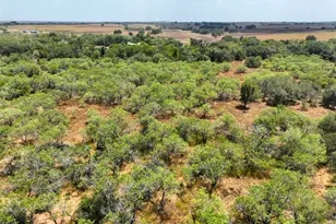 Lot 22 Cr 124 Rd, Floresville, TX 78114 - Photo 3