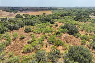 Lot 22 Cr 124 Rd, Floresville, TX 78114 - Photo 5