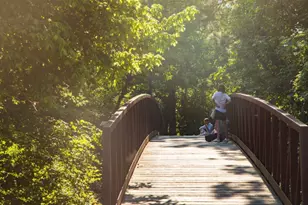 11914 Riverview Dr, Houston, TX 77077 - Photo 37