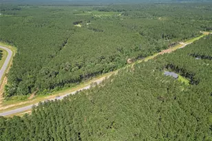 15831 Ridge Oak Rd, Willis, TX 77378 - Photo 21