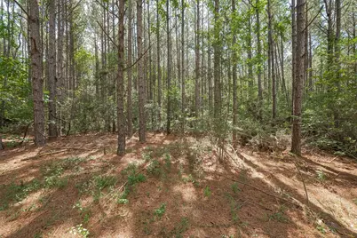 15831 Ridge Oak Road, Willis, TX 77378 - Photo 9