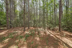 15831 Ridge Oak Rd, Willis, TX 77378 - Photo 9