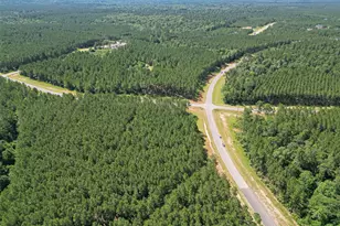 15831 Ridge Oak Rd, Willis, TX 77378 - Photo 17