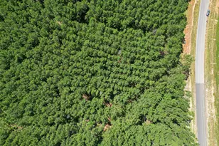 15831 Ridge Oak Rd, Willis, TX 77378 - Photo 15