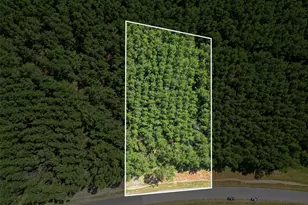 15831 Ridge Oak Rd, Willis, TX 77378 - Photo 1