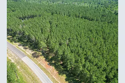 15831 Ridge Oak Road, Willis, TX 77378 - Photo 23