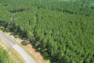 15831 Ridge Oak Rd, Willis, TX 77378 - Photo 23