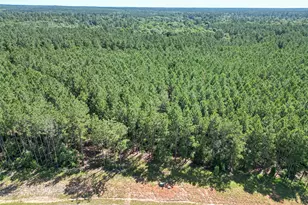 15831 Ridge Oak Rd, Willis, TX 77378 - Photo 25