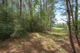 15831 Ridge Oak Rd, Willis, TX 77378 - Photo 7