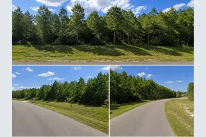 12745 Oak Barrel Road, Willis, TX 77378 - Photo 3