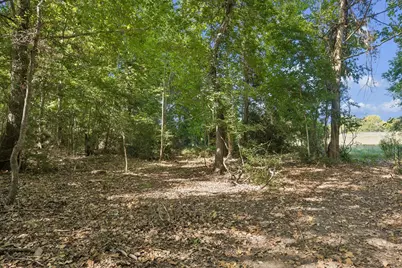 000 Ripple Lane, New Ulm, TX 78950 - Photo 17