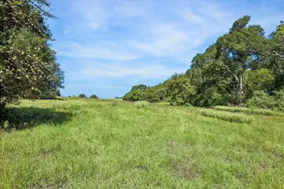 000 Ripple Lane, New Ulm, TX 78950 - Photo 7