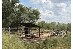 18124 County Rd 163, Elmendorf, TX 78112 - Photo 3