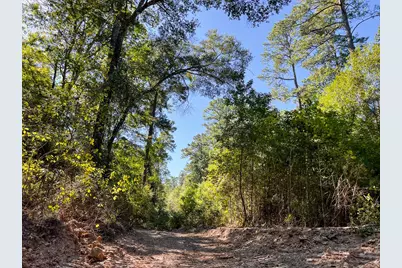 14 Fm 350, Livingston, TX 77351 - Photo 11