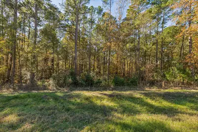 14-36-13 Sandpiper Drive, New Waverly, TX 77358 - Photo 9