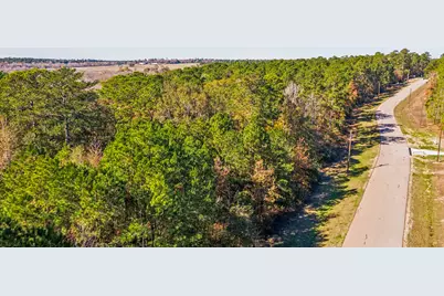 14-36-13 Sandpiper Drive, New Waverly, TX 77358 - Photo 5