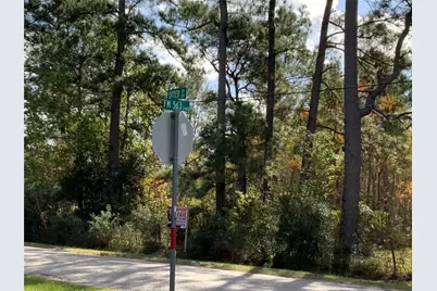 166 Otter Road, Anahuac, TX 77514 - Photo 11