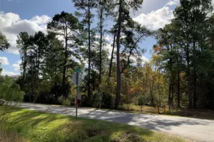 166 Otter Rd, Anahuac, TX 77514 - Photo 5