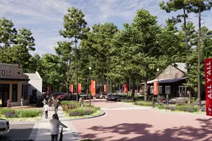 11978 Braided Mane St, Montgomery, TX 77316 - Photo 31