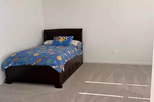 3223 Field Thistle, New Braunfels, TX 78130 - Photo 21