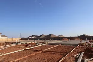 31431 Bluebell Ave, Fulshear, TX 77423 - Photo 5