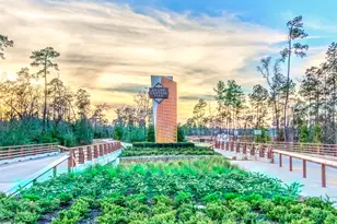 107 Silverbow Crk Wy, Conroe, TX 77304 - Photo 9