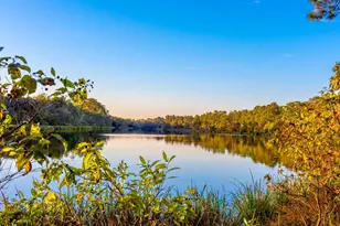 107 Silverbow Crk Wy, Conroe, TX 77304 - Photo 17