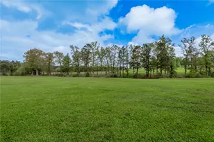 185 Dogwood Hill Trail, Groveton, TX 75845 - Photo 41