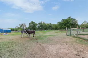 203 Saffles Rd, Robinson, TX 76706 - Photo 29