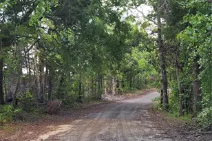 0 County Road 4710 Lot 465, LaRue, TX 75770 - Photo 49