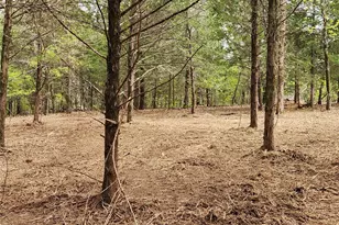 0 County Road 4710 Lot 465, LaRue, TX 75770 - Photo 5