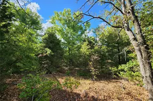 0 County Road 4710 Lot 465, LaRue, TX 75770 - Photo 37