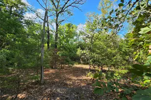 0 County Road 4710 Lot 465, LaRue, TX 75770 - Photo 11