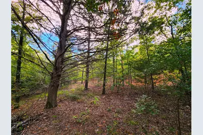 0 County Road 4710 Lot 465, LaRue, TX 75770 - Photo 29