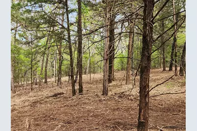 0 County Road 4710 Lot 465, LaRue, TX 75770 - Photo 43