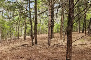 0 County Road 4710 Lot 465, LaRue, TX 75770 - Photo 43