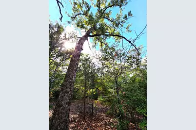 0 County Road 4710 Lot 465, LaRue, TX 75770 - Photo 33