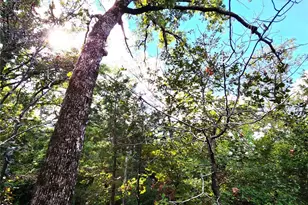 0 County Road 4710 Lot 465, LaRue, TX 75770 - Photo 33