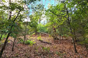 0 County Road 4710 Lot 465, LaRue, TX 75770 - Photo 39