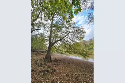 223 County Road 2167B, Cleveland, TX 77327 - Photo 35